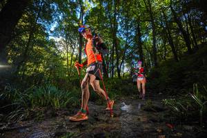 BIB: 
                            <button type="button" onclick="openModal(19229757)" class="btn btn-primary btn-sm float-right btn-popup" data-toggle="modal" data-target=".modal-high-quality">
                        <i class="fas fa-shopping-cart"></i> Add to Cart
                    </button>
                                            <button type="button" onclick="isThisMe(19229757, true)" class="btn btn-success btn-sm float-right btn-popup btn-isme hidden" data-toggle="tooltip" data-placement="bottom" title="นี่คือรูปของคุณใช่ไหม คลิกที่นี่เพื่อเอาเข้าอัลบั้ม">
                        <i class="fas fa-plus"></i> Add to album
                    </button>
                    <button type="button" onclick="isThisMe(19229757, false)" class="btn btn-warning btn-sm float-right btn-popup btn-isnotme hidden">
                        <i class="fas fa-ban"></i> Remove from album
                    </button>